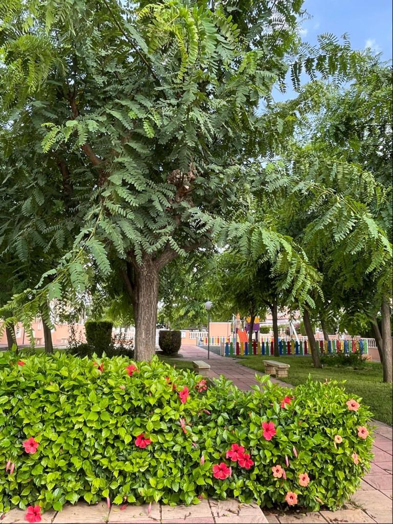 Gran Alicante Bungalow In Beach Resort Puerto Marino المظهر الخارجي الصورة